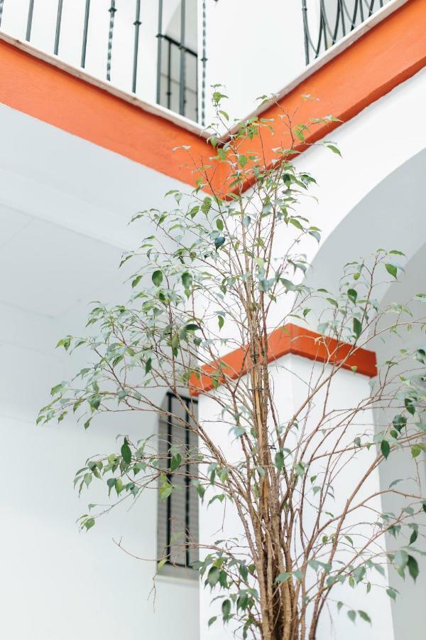 One & Lux- Lagar Apartment Sevilla Exterior foto